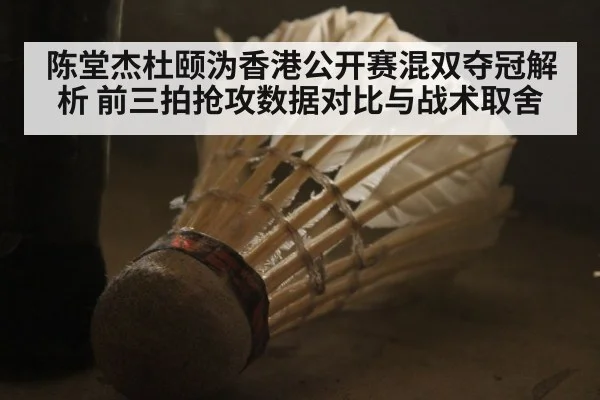 陈堂杰杜颐沩香港公开赛混双夺冠解析 前三拍抢攻数据对比与战术取舍 | kaiyun
